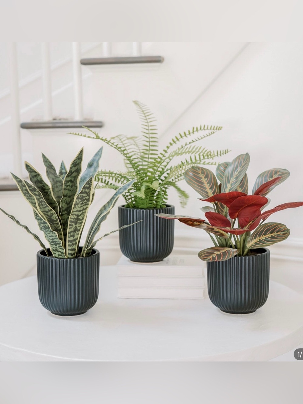 CGH Faux Decrotive Plant Trio